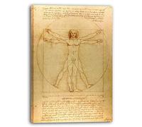 Printed Paintings Impression sur Toile (60x80cm): Léonard de Vinci - Homme vitruvien