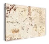 Printed Paintings Impression sur Toile (80x60cm): Léonard de Vinci - Dessins Divers