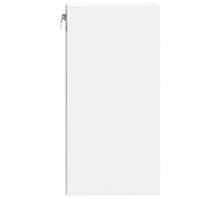 ""Printemps 2026 Soldes""Armoire suspendue pour cuisine - Placard mural - avec rangement - ""Riga"" Blanc 30 x 29,5 x 60 cm Bois d'ingén
