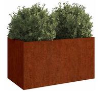 ""Printemps 2026 Soldes""Jardinière surélevée - Bac de Jardin/Jardinière fleurs - Grand profonde - 62x40x39cm acier corten 3720146