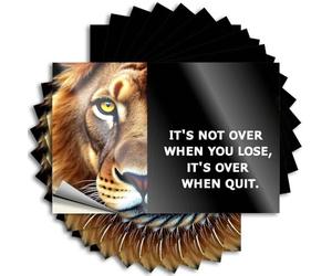 Printemps, décalcomanies Water Never Quit: The Lion Message of Perseverance | Extérieur neuf (12 x 18 cm)