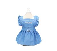 Printemps Été Chien Robe pour Petit Chaton Chiens Vêtements Chiot Lettres Brodées Jean Strap Robes Chihuahua Jupes Costumes pour animaux (couleur : bleu clair, taille : XS)