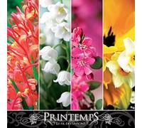 Printemps - Fil des saisons G