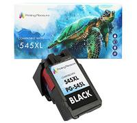 Printing Pleasure PG-545XL PG-545 Noir Cartouche d'encre Compatible pour Canon Pixma MG2450 MG2550 MG2550S MG2555S MG2950 MG3050 MG3051 MG3052 MX495 iP2850 TR4550 TR4551 TS205 TS305 TS3150 TS3151