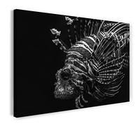 Printistico Image sur toile (80x60 cm) Poisson lion, mer sous-marine nature dangereuse, noir et blanc, photo d'animaux, photographie de nature, cadre en bois véri