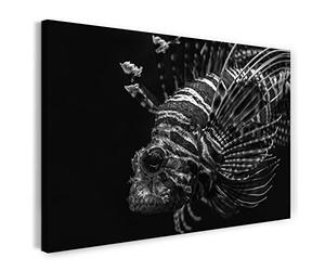 Printistico Image sur toile (80x60 cm) Poisson lion, mer sous-marine nature dangereuse, noir et blanc, photo d'animaux, photographie de nature, cadre en bois véri