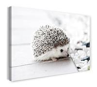 Printistico Impression sur toile (100x70 cm) hérisson, joli jardin de fleurs en gros plan, couleurs froides, photo d'animaux, photographie de nature, cadre en bois véritable avec crochet,