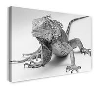 Printistico Impression sur toile (100x70 cm) lézard, gros plan de reptile de la jungle, noir et blanc, photo d'animaux, photographie de nature, cadre en bois véritable avec crochet,
