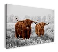 Printistico Impression sur toile (100x70 cm) photographie animalière vaches - bovins des Highlands écossais dans le pré, cadre en bois véritable avec crochet,