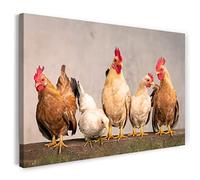 Printistico Impression sur toile (100x70 cm) poules sur la clôture, coq de ferme, couleurs chaudes, photos d'animaux, photographie de nature, cadre en bois véritable avec crochet,