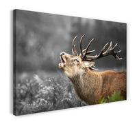 Printistico Impression sur toile (120x80 cm) Cerf rugissant, photographie d'animaux sauvages - animaux, nature, paysage, cadre en bois véritable avec crochet,