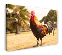 Printistico Impression sur Toile (120x80 cm) Coq, Plumes de Ferme, Oiseau coloré, Couleurs Chaudes, Photos d'animaux, Photographie de Nature, Cadre en Bois véritable avec Crochet,