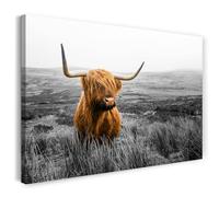 Printistico Impression sur toile (120x80 cm) photographie animalière, bétail des Highlands écossais - vache brune, nature, cadre en bois véritable avec crochet,