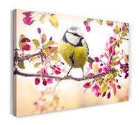 Printistico Impression sur Toile (60x40 cm) mésange Bleue, Fleurs, Branches, Plantes, Oiseaux colorés, Couleurs Chaudes, Photos d'animaux, Photographie Nature, Cadre en Bois véritable avec Crochet,