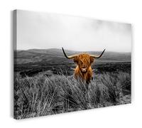Printistico Impression sur toile (60x40 cm) Scottish Highland Cattle, photographie - paysage, animal, vache brune, cadre en bois véritable avec crochet,