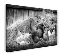 Printistico Impression sur toile (80x60 cm) coq et poules, forêt agricole naturelle, noir et blanc, photo animalière, photographie nature, cadre en bois véritable avec crochet,