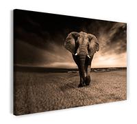 Printistico Impression sur toile (80x60 cm) éléphant, gros plan nature savane africaine, couleurs chaudes, photos d'animaux, photographie nature, cadre en bois véritable avec crochet,