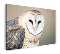 Printistico Impression sur toile (80x60 cm) hibou, plumes d'oiseaux naturelles, couleurs froides, photos d'animaux, photographie nature, cadre en bois véritable avec crochet,
