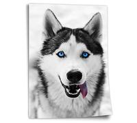 Printistico Poster Husky aux yeux bleus, noir et blanc, noir et blanc, photographie, impression d'art sans cadre, peinture murale - A4, A3, A2, A1, A0, XXL - Salon, Chambre, Cuisine, Décoration
