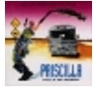 Priscilla, folle du désert E