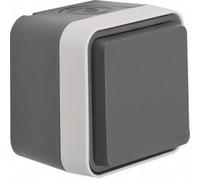 Prise 2P+T avec clapet Berker 47403515 W.1 apparent gris, gris clair