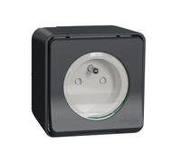 Prise 2P+T Mureva Styl - Grise