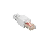 Prise d'alimentation Mach RJ45 UTP CAT6, connecteur réseau sans Outil, avec Cache de connecteur Blanc, Installation Rapide pour câbles LAN, Panneau de Brassage et Ethernet (NW-PLU6TL-WH)