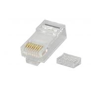 Prise d'alimentation Mach RJ45 UTP Cat6A 8P8C pour câbles LAN - Lot de 50 (CV-LAN-055)