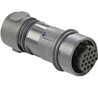 Prise de câble femelle série Buccaneer 6000 Bulgin Buccaneer 6000 PXP6011/08S/CR/0709 1 pc(s)