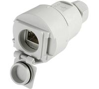 Prise de connexion gratuite STX V6 Telegärtner J00020A0437 RJ45 femelle, droit Pôle: 8P8C gris cla