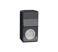 Schneider Electric - Mureva Styl - Prise courant 2P+T+va et vient verti. - saillie - IP55 IK08 - gris - MUR36025