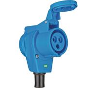 Prise De Courant Électrique Cee Et Prise De Courant Française Solutions Outdoor Avec Clapets À Fermeture Automatique (Deux Prises En Une, 16A, 2P+T, Ip44) Bleu