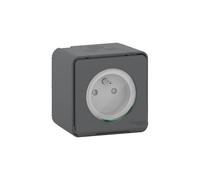 Prise de courant en saillie SCHNEIDER Mureva MUR35031 - 16A - 250V - 2P+T - IP55 - anthracite