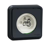 Prise de courant renforcée - SCHNEIDER ELECTRIC - Mureva Sty - Gris - A encastrer - 2P+T