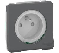 Prise de courant - Schneider - Mureva Styl - 2P+T - Gris - IP55 IK08 - Extérieur