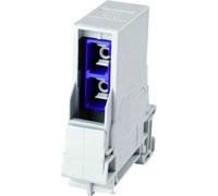 Prise de raccordement IP44, CAT 6a Telegärtner 100022789 RJ45 Profilé support gris 1 pc(s)