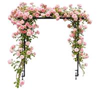 Prise en charge de l'arrière-plan du tableau | 1 * cadre réglable avec pinces | 250x120 Cm Idéal pour les guirlandes, bannières, décorations de fête, mariages, photomatons et événements de Noël