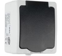 Zenitech, Prise 16A 2P+T IP54 Gris Aquae, Étanche pour Extérieur, Sécurité Enfant, Raccordement Rapide, Puissance 3680W-250V, Certifié NF, Idéale pour Murs et Façades, Installation Facile