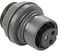 Prise femelle série Buccaneer 6000 Bulgin Buccaneer 6000 PXP6012/22S/CR 1 pc(s)