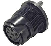 Prise mâle série Buccaneer 4000 Bulgin Buccaneer 4000 PXP4013/03P/PC 1 pc(s)