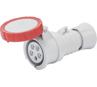 Gewiss gw62031h 16 A 3P + N + E Coupleur de Prise Électrique - coupleurs de prises electriques (25 - 40 °c)