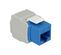 - Prise modulaire - CAT 6 - UTP - RJ-45 - bleu