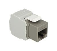 - Prise modulaire - CAT 6 - UTP - RJ-45 - gris