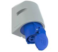 Prise murale femelle CEE-CARA 16 A 3 pôles PCE 113-6tt 230 V bleu 1 pc(s)