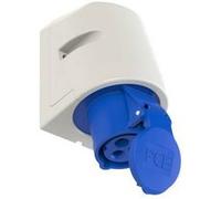 Prise murale femelle CEE-CARA 16 A 3 pôles PCE 113-6 230 V bleu 1 pc(s)