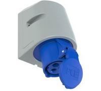 Prise murale femelle CEE-CARA 16 A 3 pôles PCE 113-6tt 230 V bleu 1 pc(s)