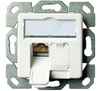 Prise réseau encastré insert avec plaque centrale CAT 6a 2 ports Telegärtner