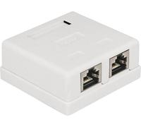 Prise réseau encastré insert avec plaque centrale et châssis CAT 6 2 ports Delock 86269 blanc