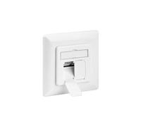 Prise réseau encastré insert avec plaque centrale et châssis CAT 6A 2 po