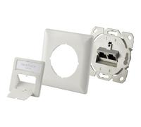 Prise Réseau Encastré Insert Avec Plaque Centrale Et Châssis Cat 6a 2 Ports Blanc Y143482 - Renkforce